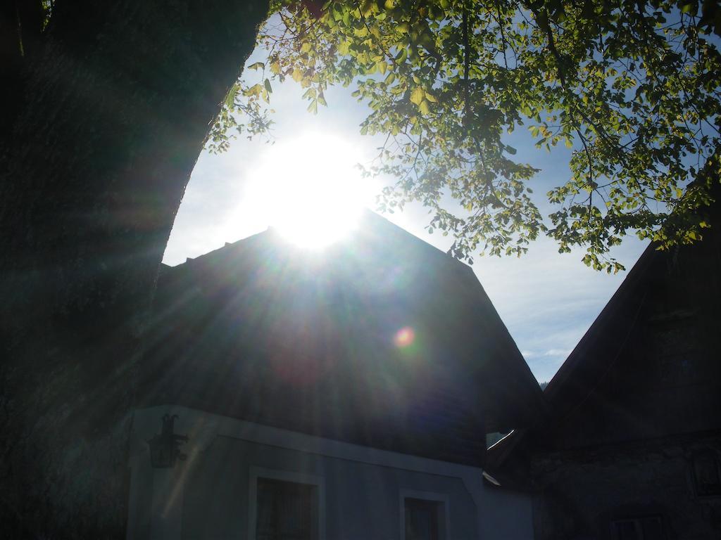 Bio-Bauernhof Kurzeck Göstling an der Ybbs Exterior foto