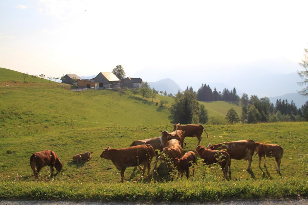 Bio-Bauernhof Kurzeck Göstling an der Ybbs Exterior foto
